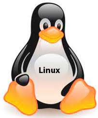 Newcomer’s Guide to Linux