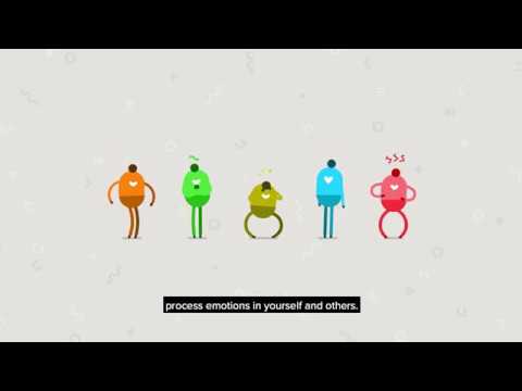 Developing Emotional Intelligence
