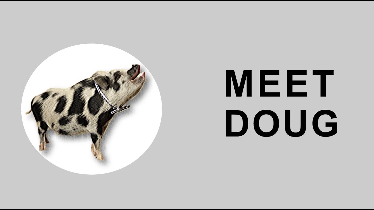 Join Donate & Learn Business Events!