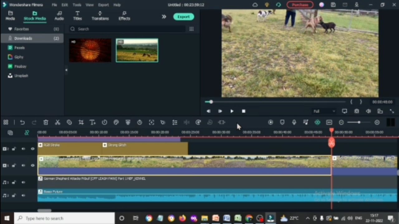 how to learn dogs and puppies video editing