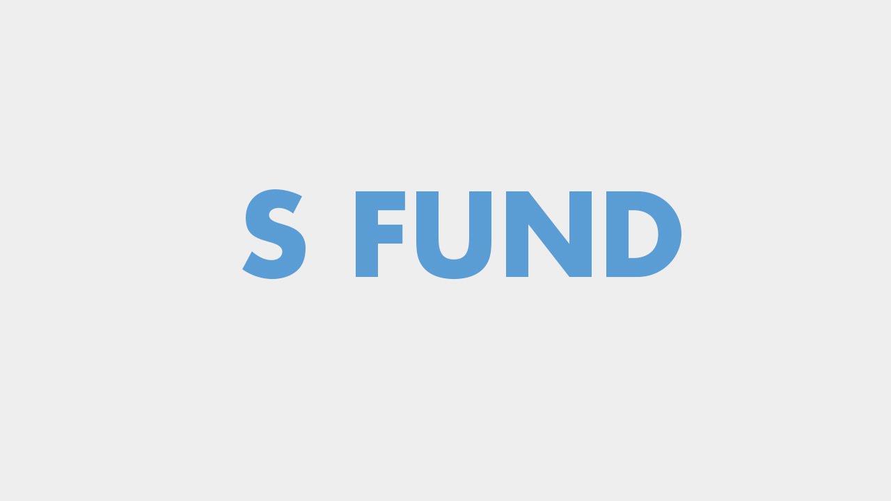 Your TSP Investment Options: The S Fund