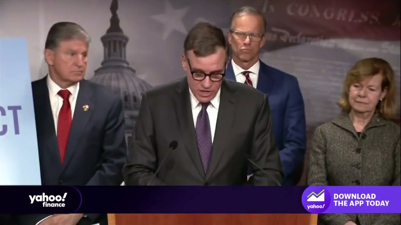 Senate TikTok ban could be ‘material for’ social media competitors like Meta and Snap: Analyst