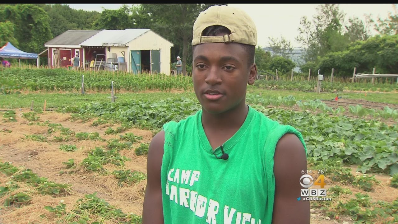 Teens Learn Business Skills, Make Money For College At Boston Farm