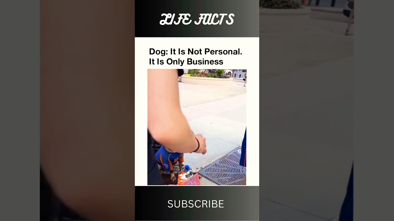 “STOP Working For Free: Learn Business From This Smart Dog!!” | #youtubeshorts