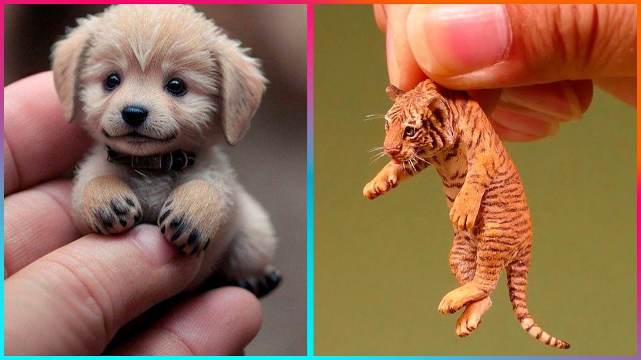 Cute Art Ideas That Will Boost Your Serotonin ▶3