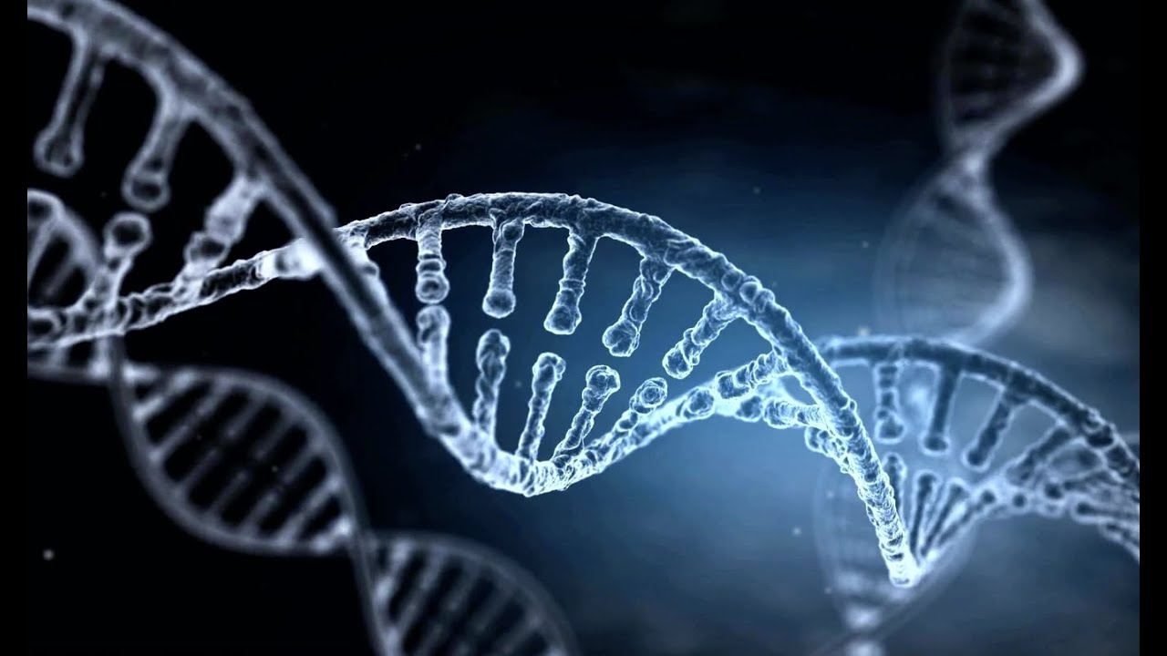 Five potential ideas for using Generative AI in health and life sciences
