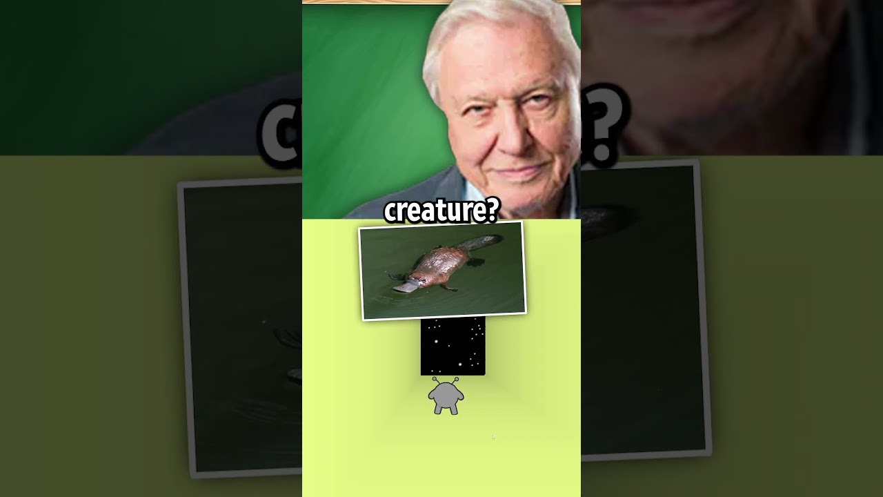 Presidents Learn About Animals in Class… #ai #meme