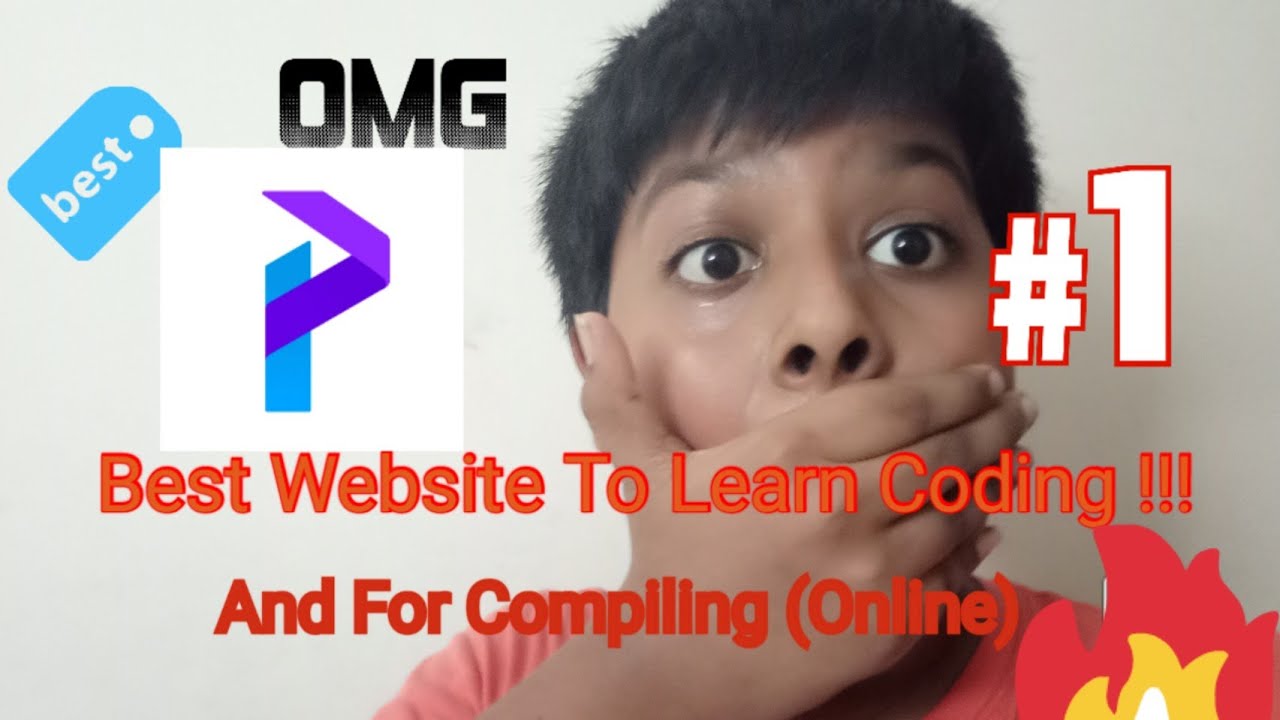 Best Website to learn Programming!|Programiz|#techyboyz #best #programiz