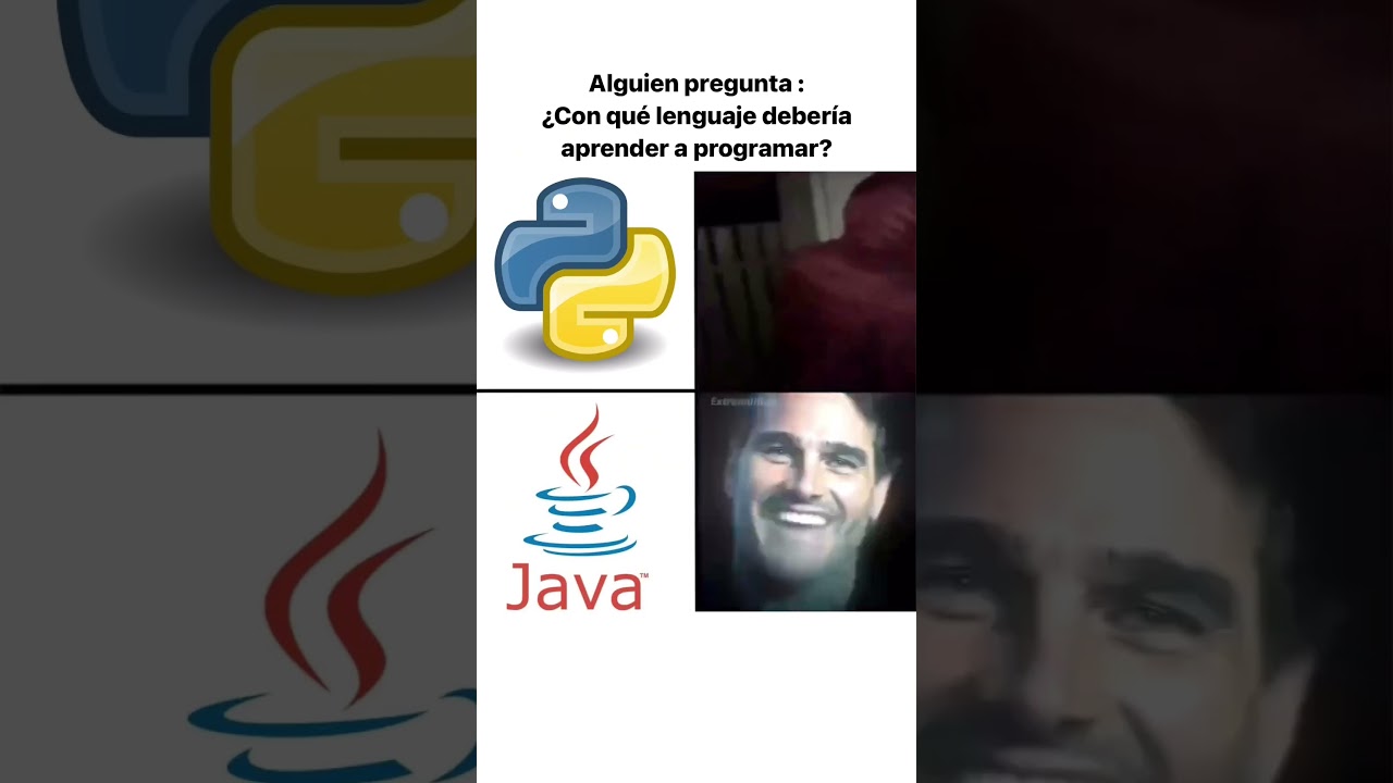 Son python o Java #programacion #programador #programmer #programming #humor