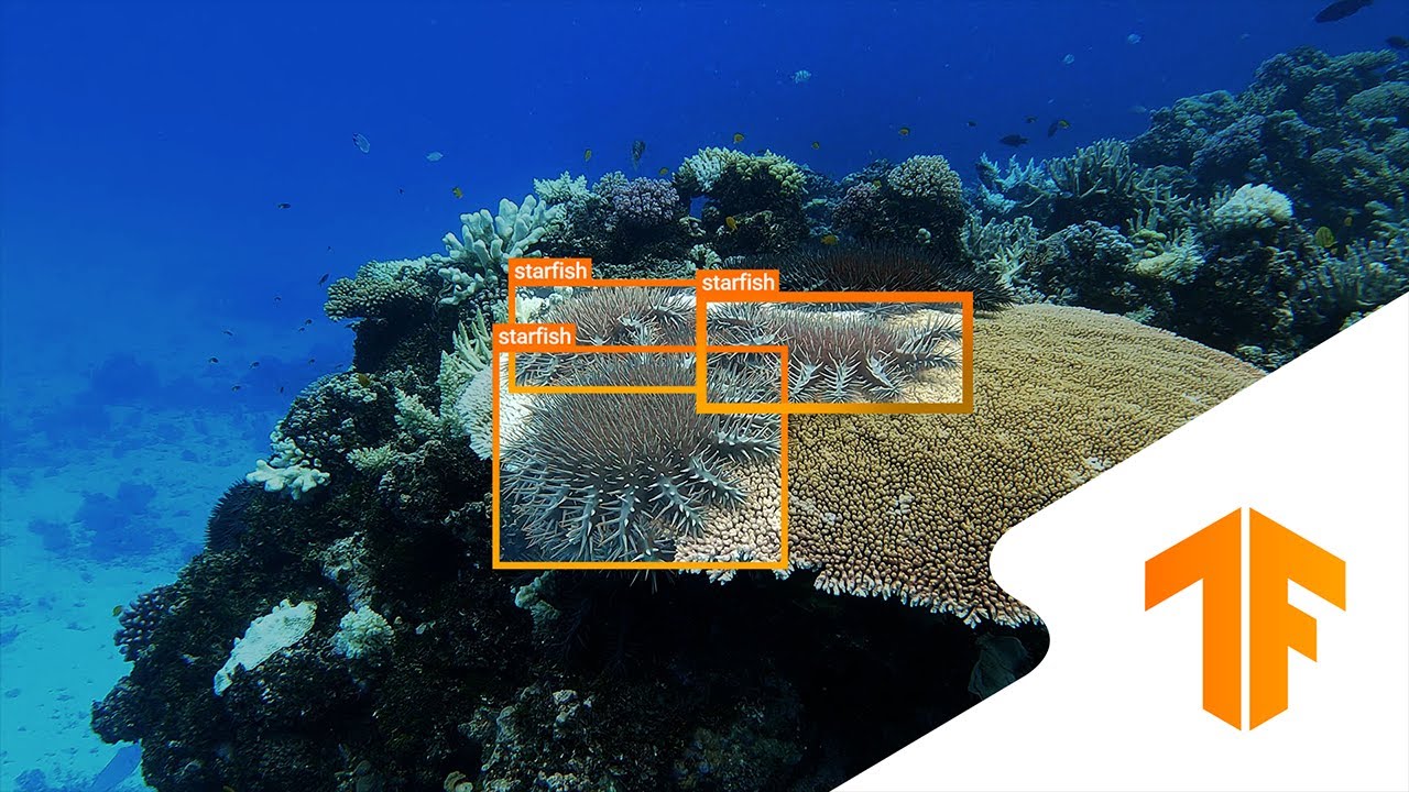 Help Protect the Great Barrier Reef with Machine Learning