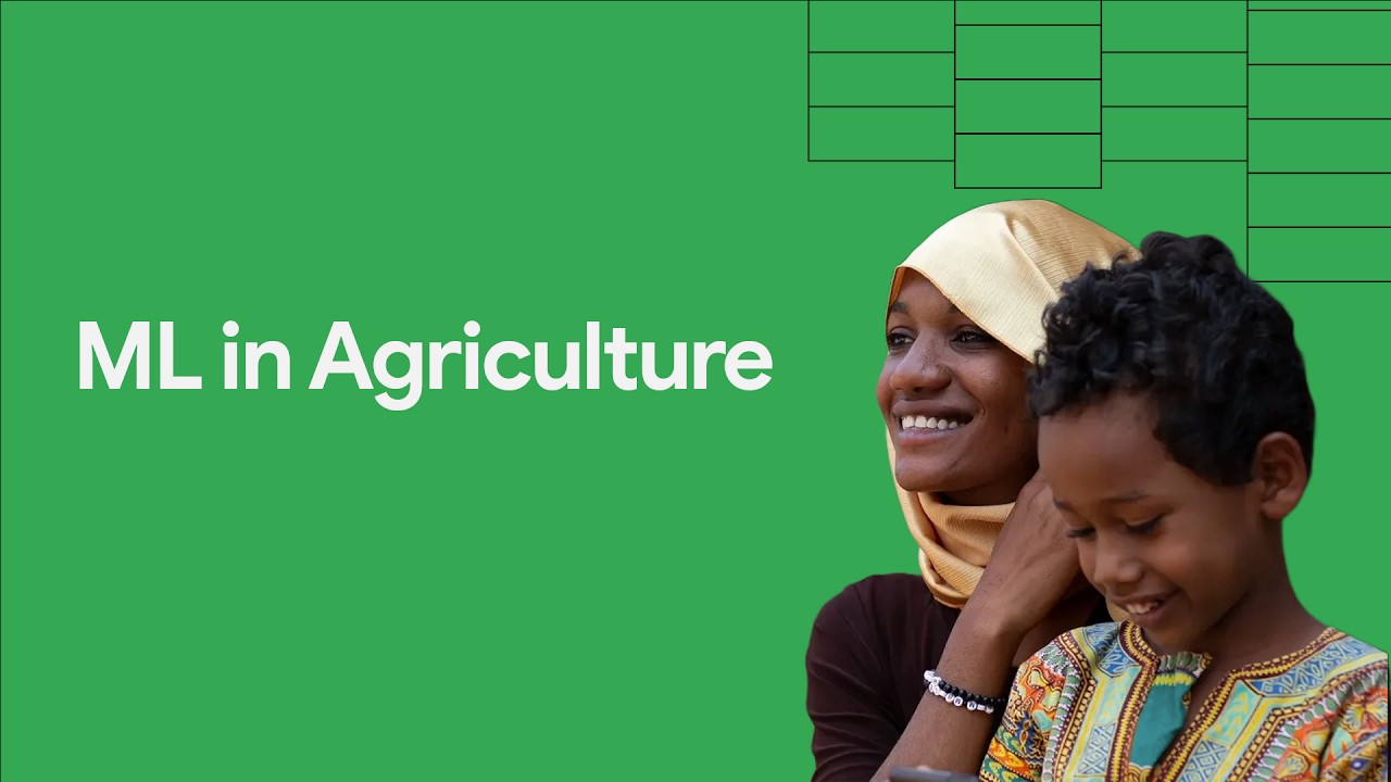 Nazirini’s story – using machine learning to tackle crop disease