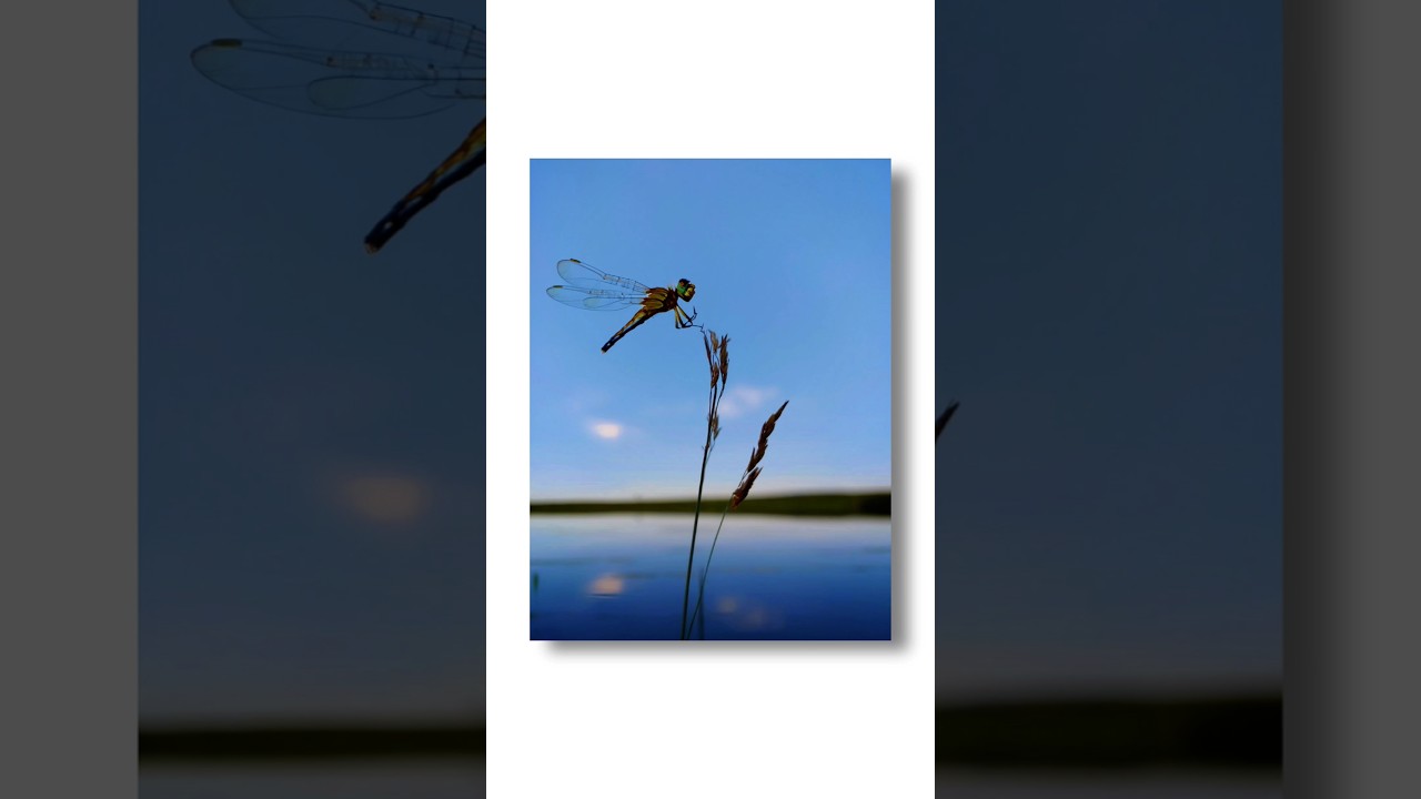 Photoshop Al Generative Fill | Artificial intelligence #ai #generativefill #generativeai #photoshop