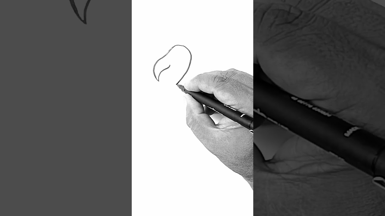 Continues line drawing |Teacher Henry #teacherhenry, #short, #Shorts, #shortsvideo,