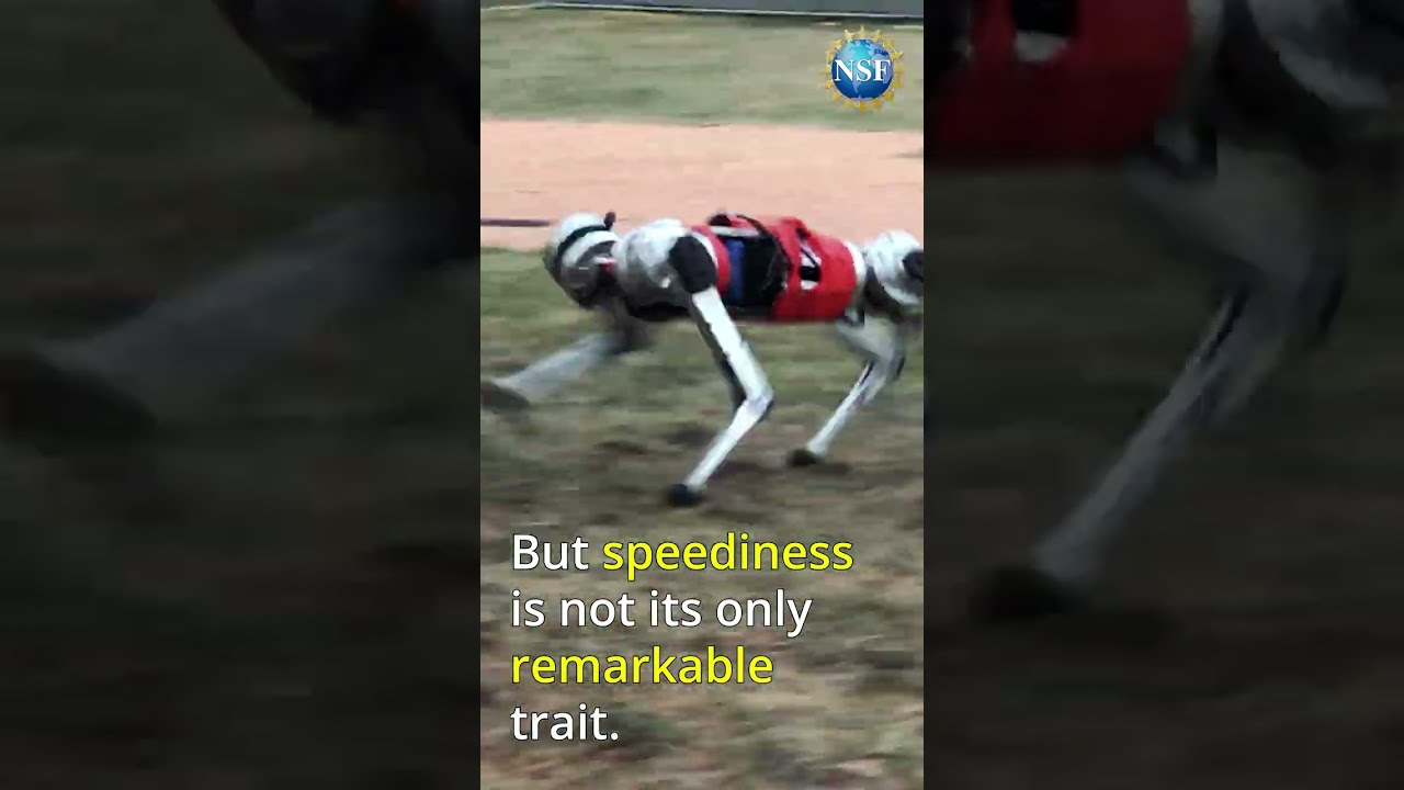 Self-learning ROBOT! #shorts #ai #robot