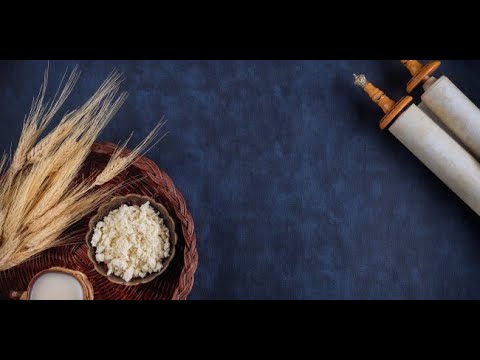The Personal Growth of Torah Study in Sefer Tehillim || Beni Gesundheit