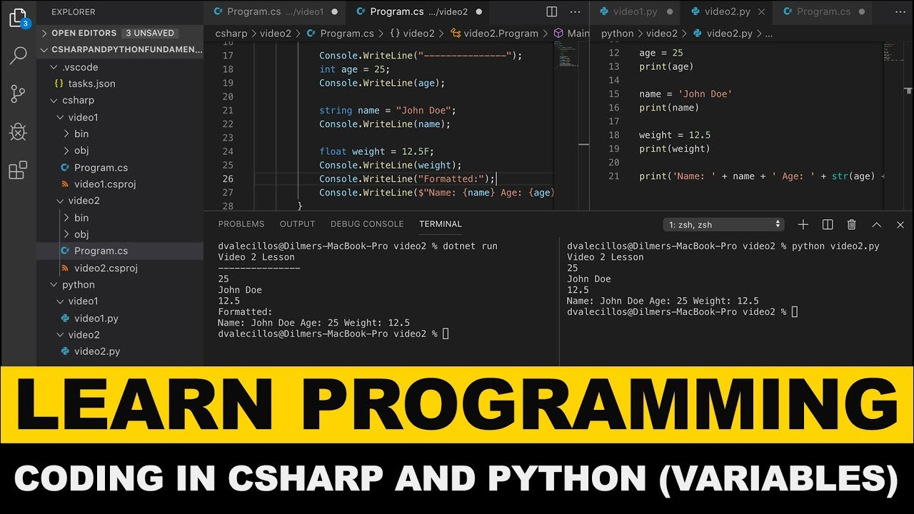 Learn Programming Fundamentals – How To Declare Variables In Both C# and Python?