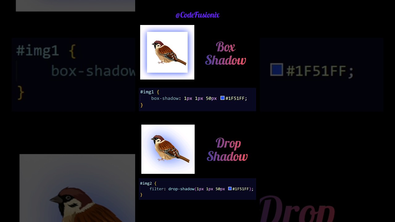 1723629012 Maxresdefault