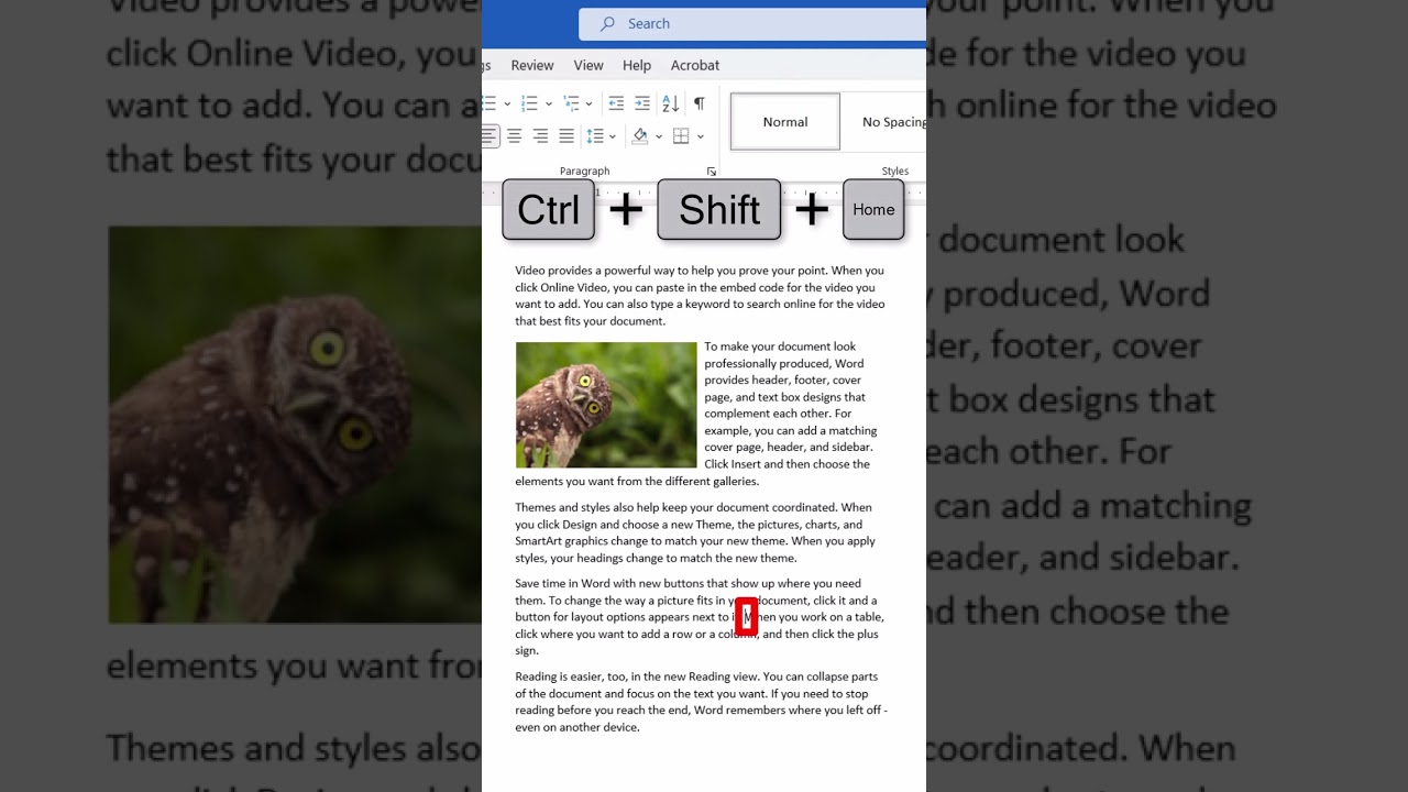 5 More Keyboard Shortcuts to Select Text in Microsoft Word