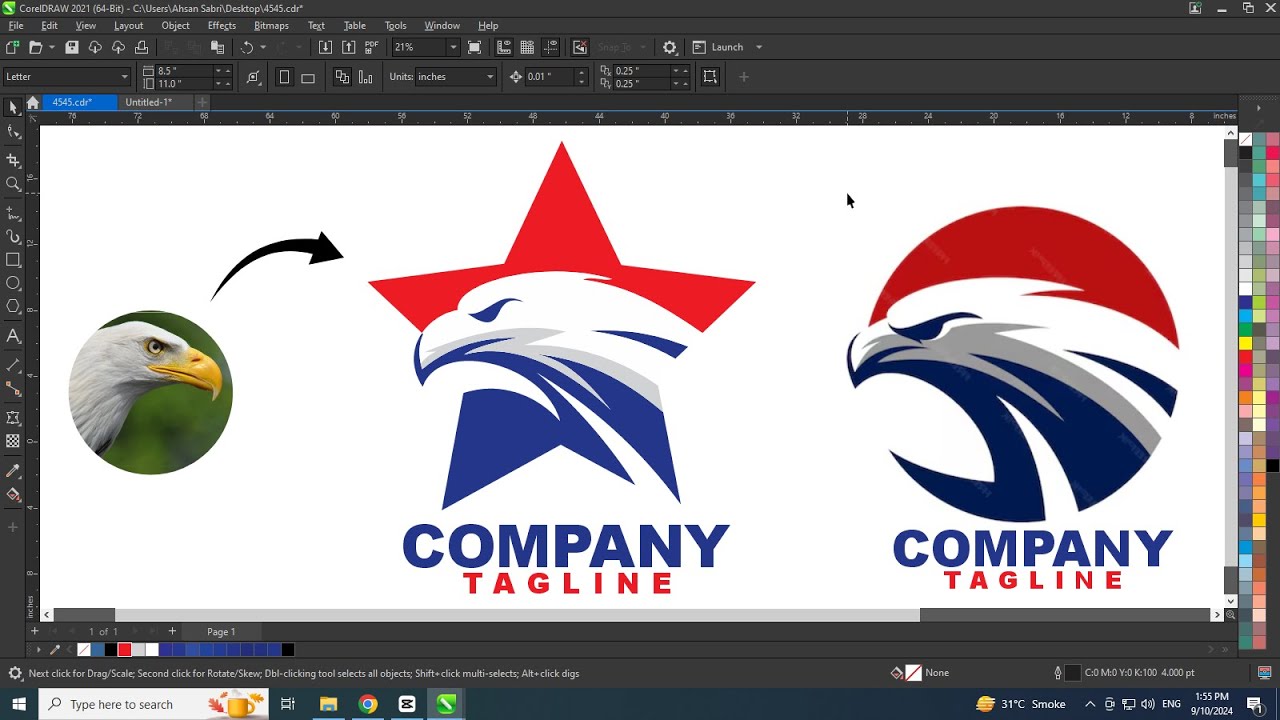 Learn How To Create Most Creative & Unique Eagle Logo Design For Clients – Online Graphic Designing