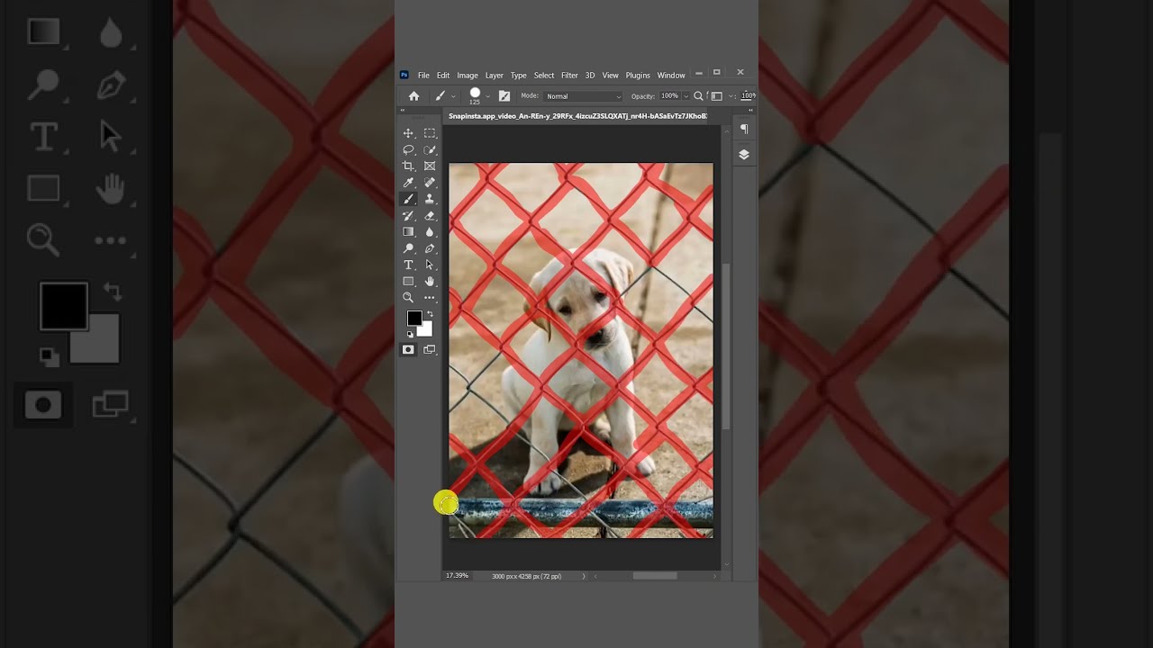 Remove Fence in Photoshop in 5 Minutes Flat! Easy Tutorial Guide #shorts #short #photoshop