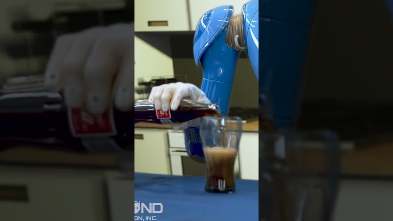 This robot mimics your moves and learns to do tasks on its own