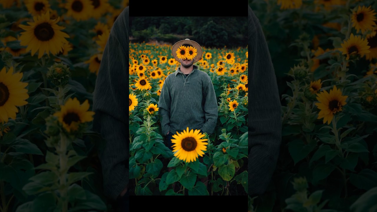 Sunflower photo idea 🌻 #photography #ideas #sunflower