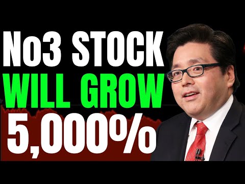 4 AI Tech Stocks Millionaires Are Buying (Next NVIDIA, Richtech ROBOTICS)