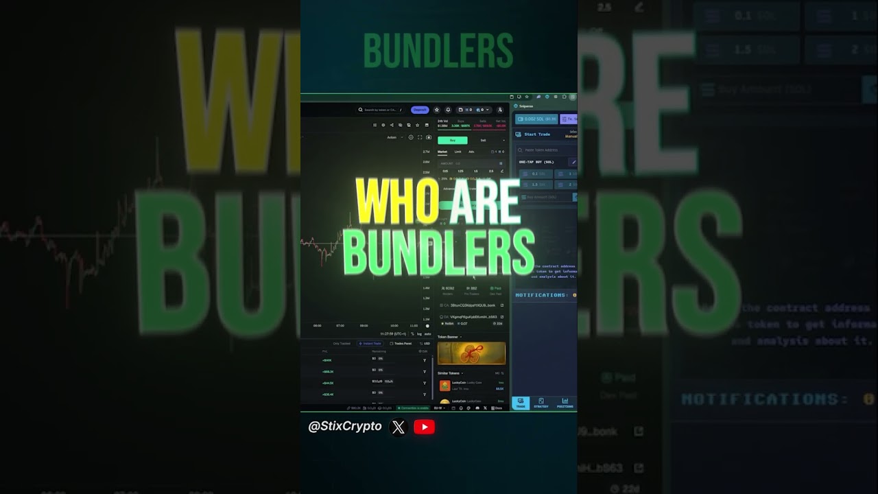What Are Insiders & Bundlers | Solana Meme Coins #solana #memecoin #crypto