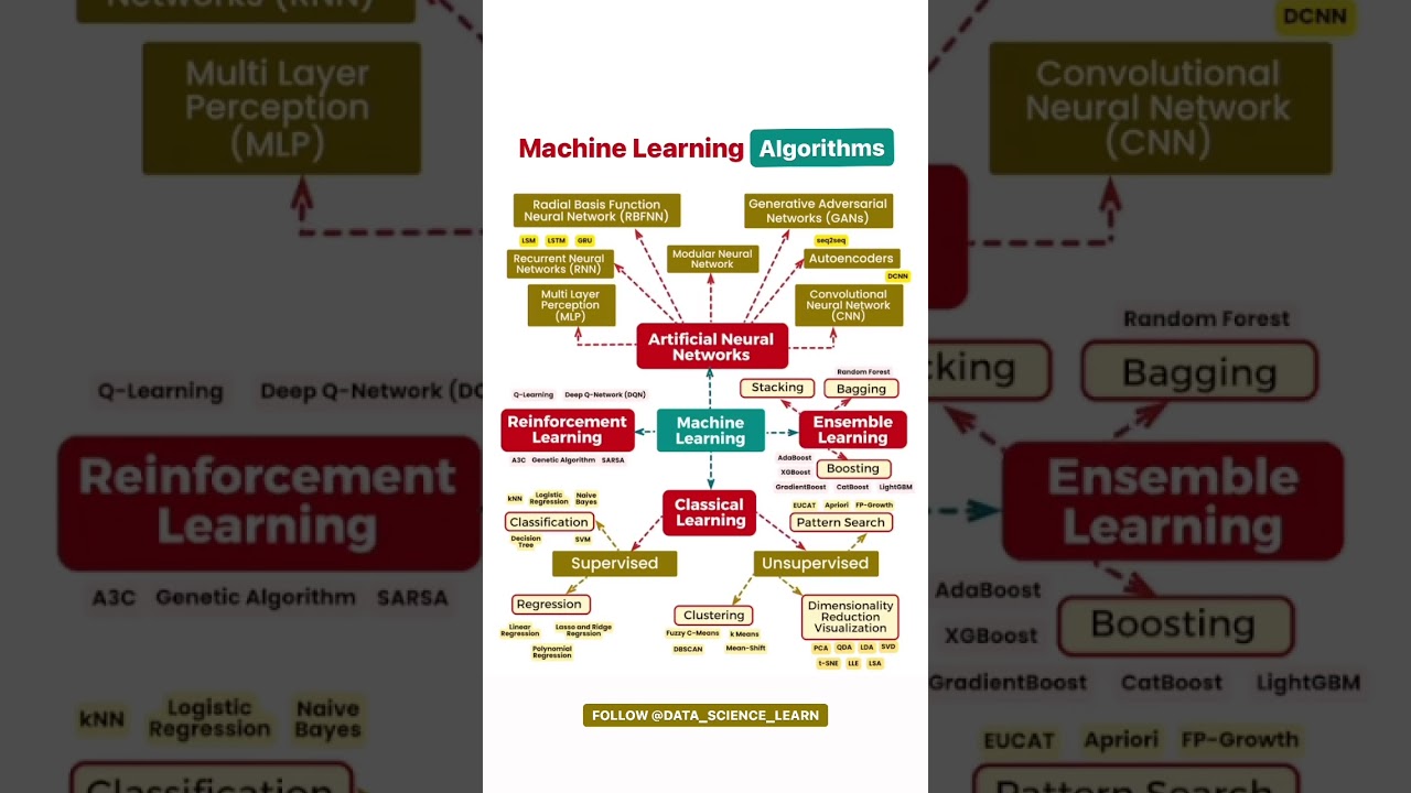 Machine Learning Algorithm 🤖  #education #ailearning #machinelearning