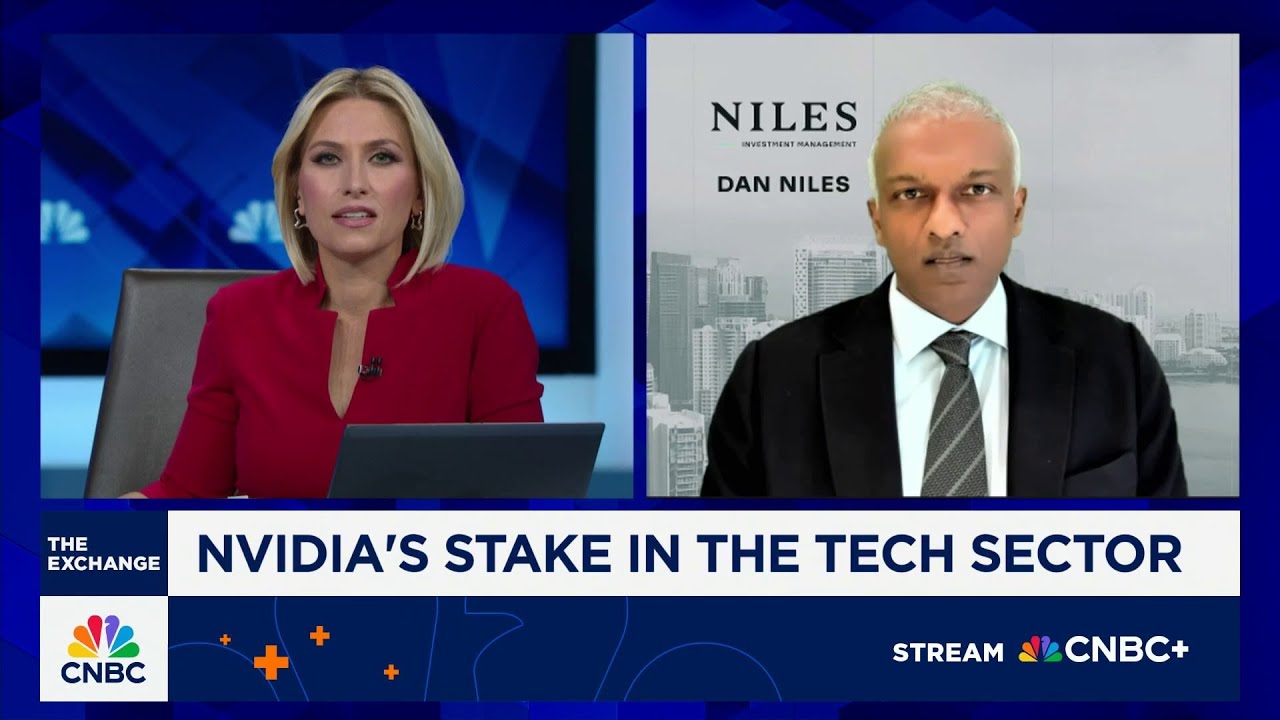 AI stocks will rise a lot as the Fed cuts rates, says Niles Investment Management’s Dan Niles