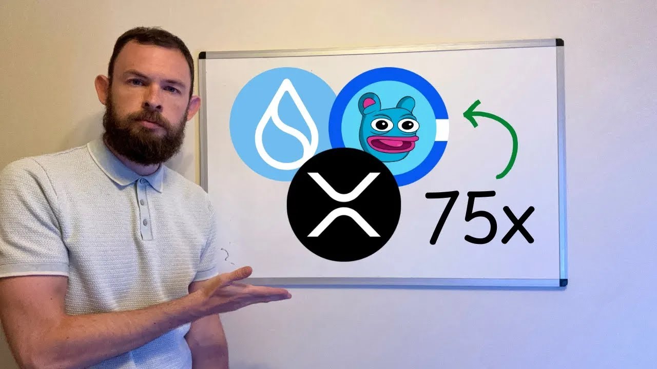 Which Altcoins Will Perform The Best For This Bull Market?!