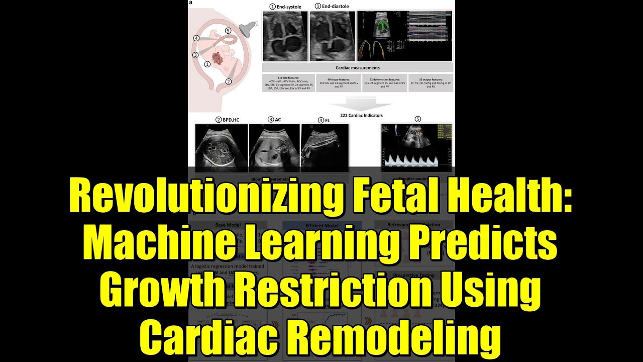 Revolutionizing Fetal Health: Machine Learning Predicts Growth Restriction Using Cardiac Remodeling