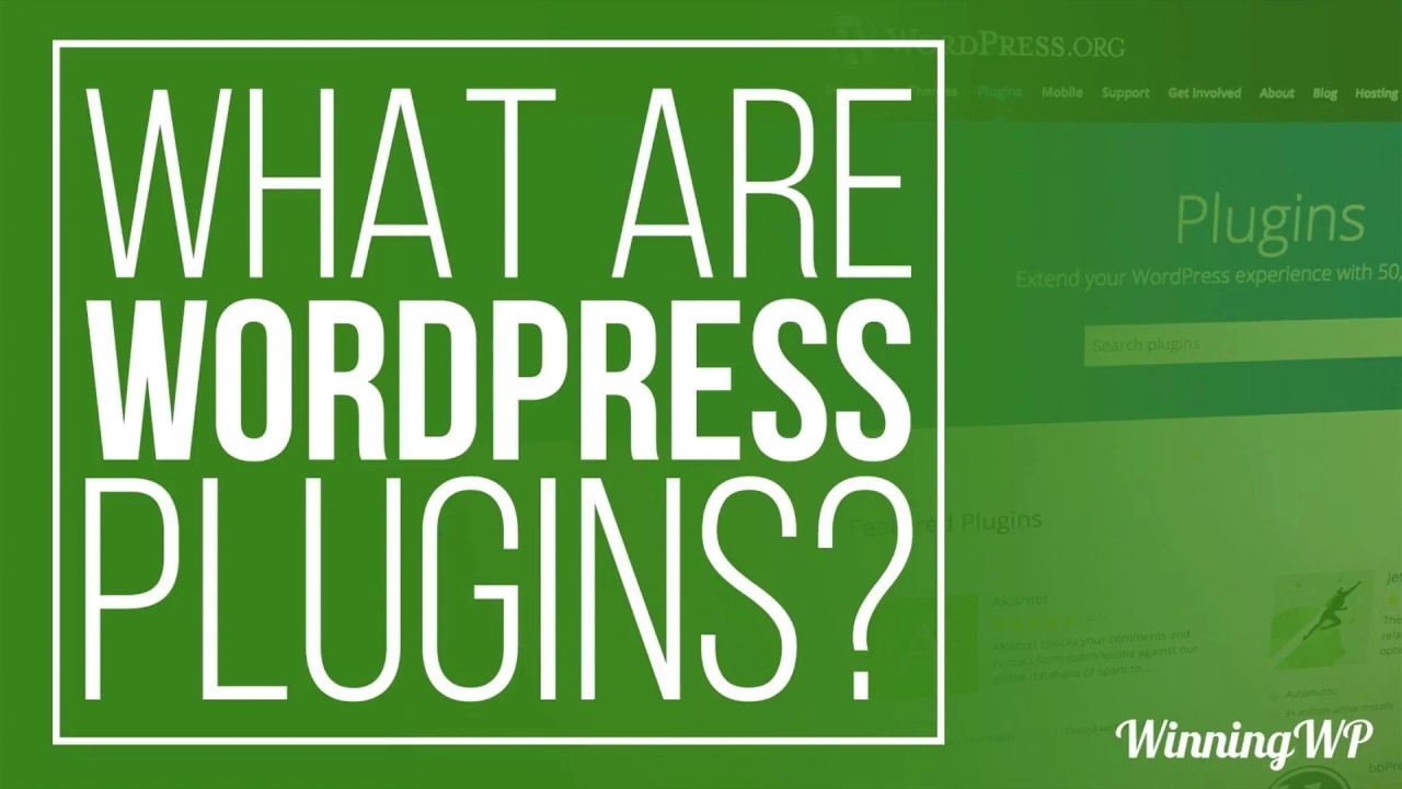 What Are WordPress Plugins – And How To Use Them?