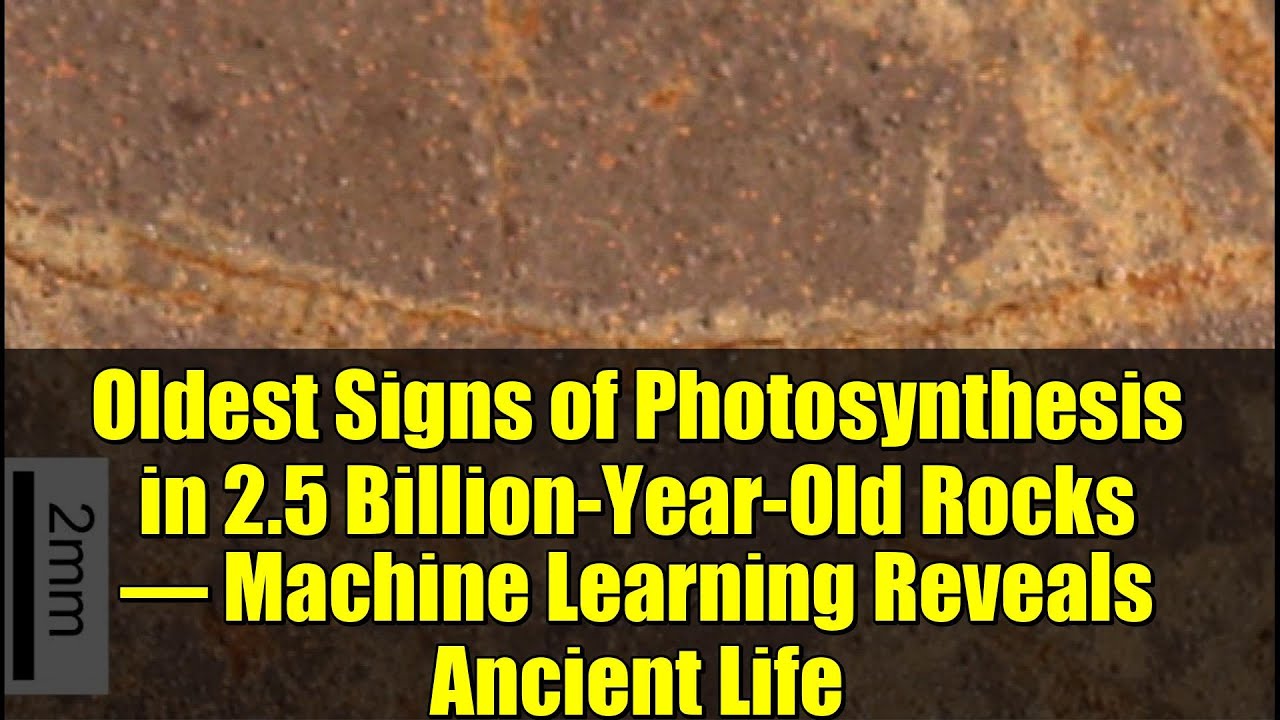 Oldest Signs of Photosynthesis in 2.5 Billion-Year-Old Rocks – Machine Learning Reveals Ancient Life