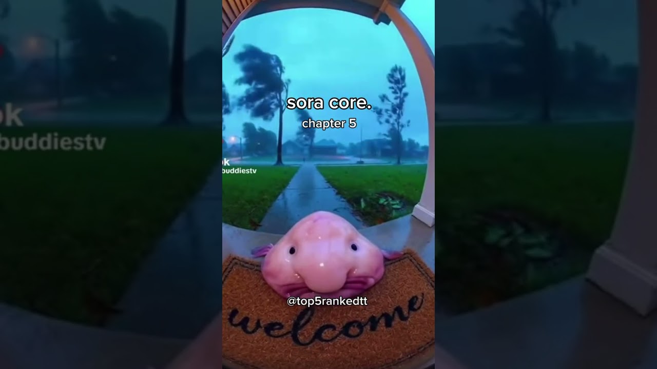 Open Ai Sora core. №5 #fypシ #shorts #openai #funny #sora #memes
