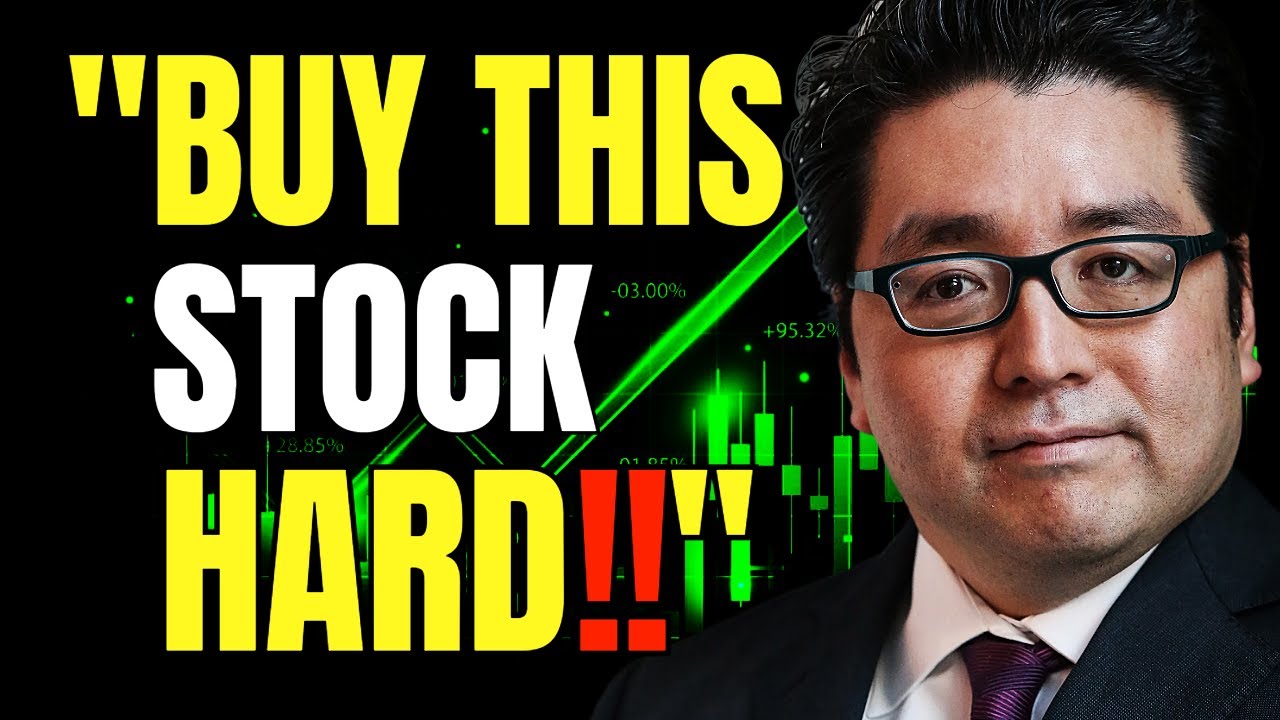 Tom Lee: “AI Stocks Are Not In A Bubble – It’s The Next Tech Revolution” (3 AI Stocks To Buy Now)