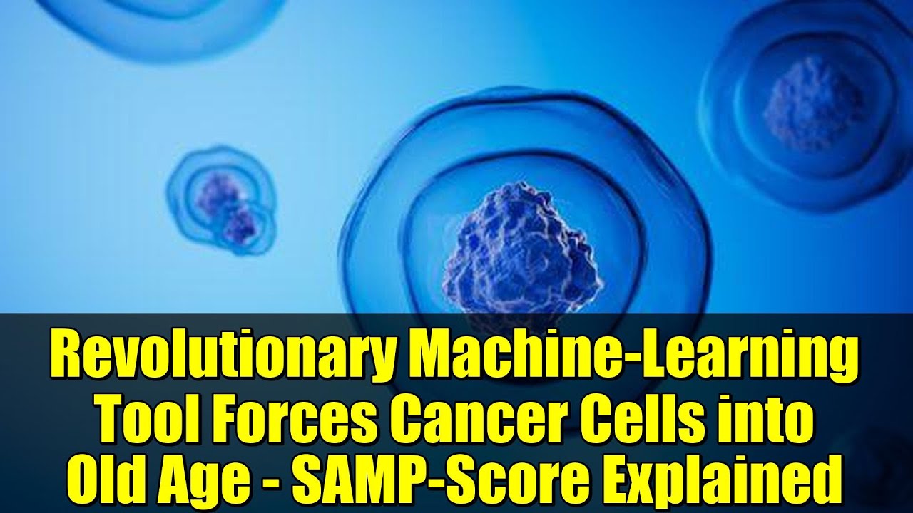 Revolutionary Machine-Learning Tool Forces Cancer Cells into Old Age – SAMP-Score Explained