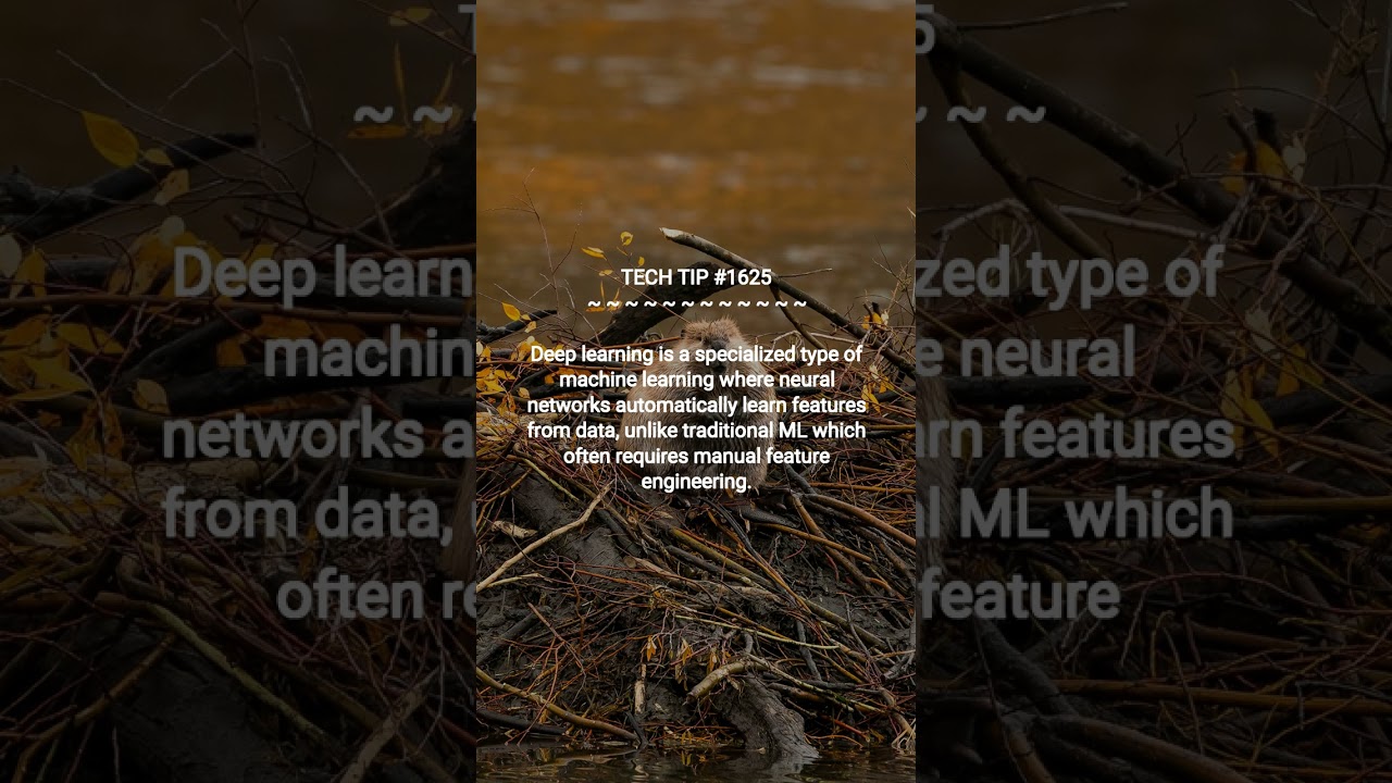 Machine Learning vs. Deep Learning | 2025-12-05 | #Shorts #TechTips #dotKey #programmingtips