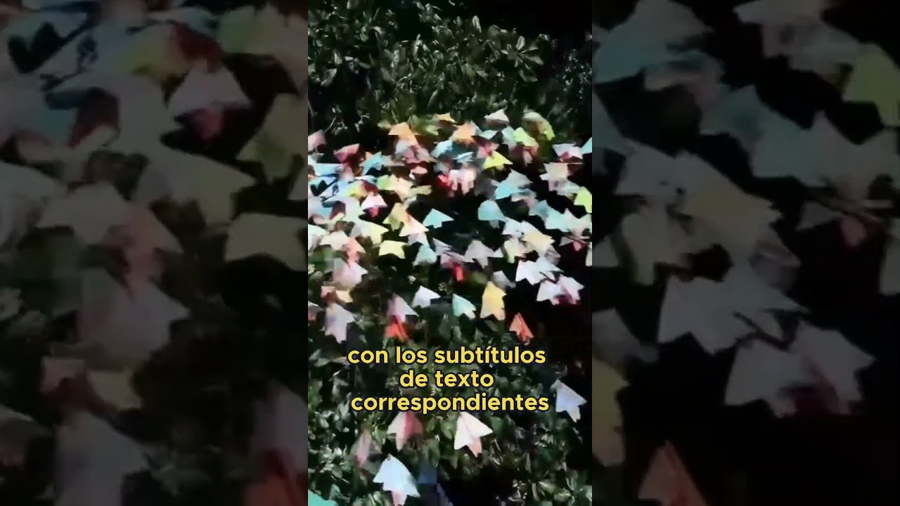open-AI text to video sora.