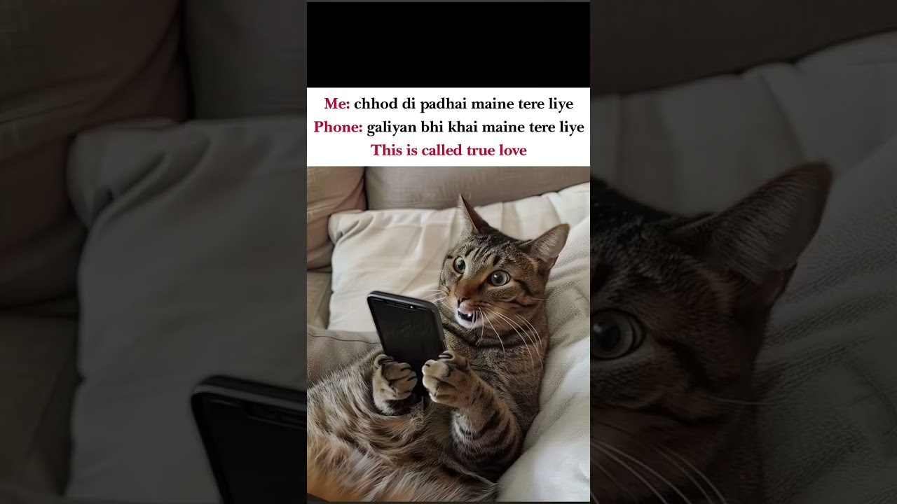 tere liye.. ❣️💕 #trending #memes #cat #study #exams #phone #AI #love #shorts #booktok