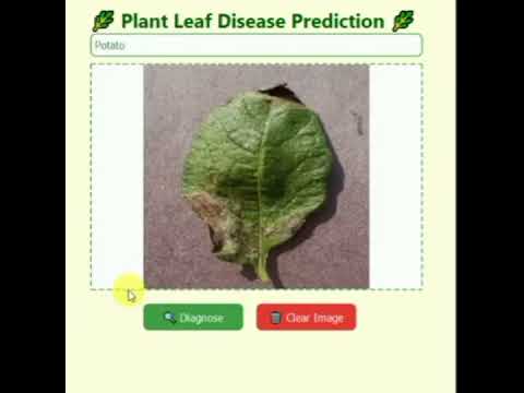 AI Based Potato Leaf Disease Detection | Smart Farming with Deep Learning