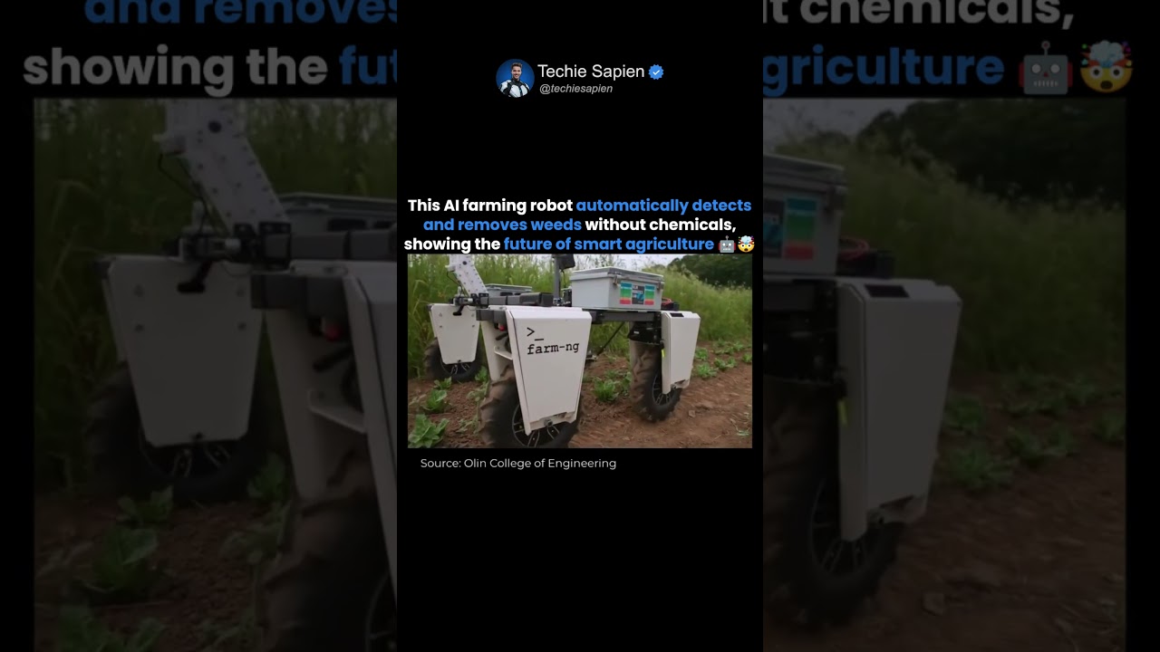 This AI Farming Robot Automatically Detects & Removes Weeds Without Chemicals 🤖🌱